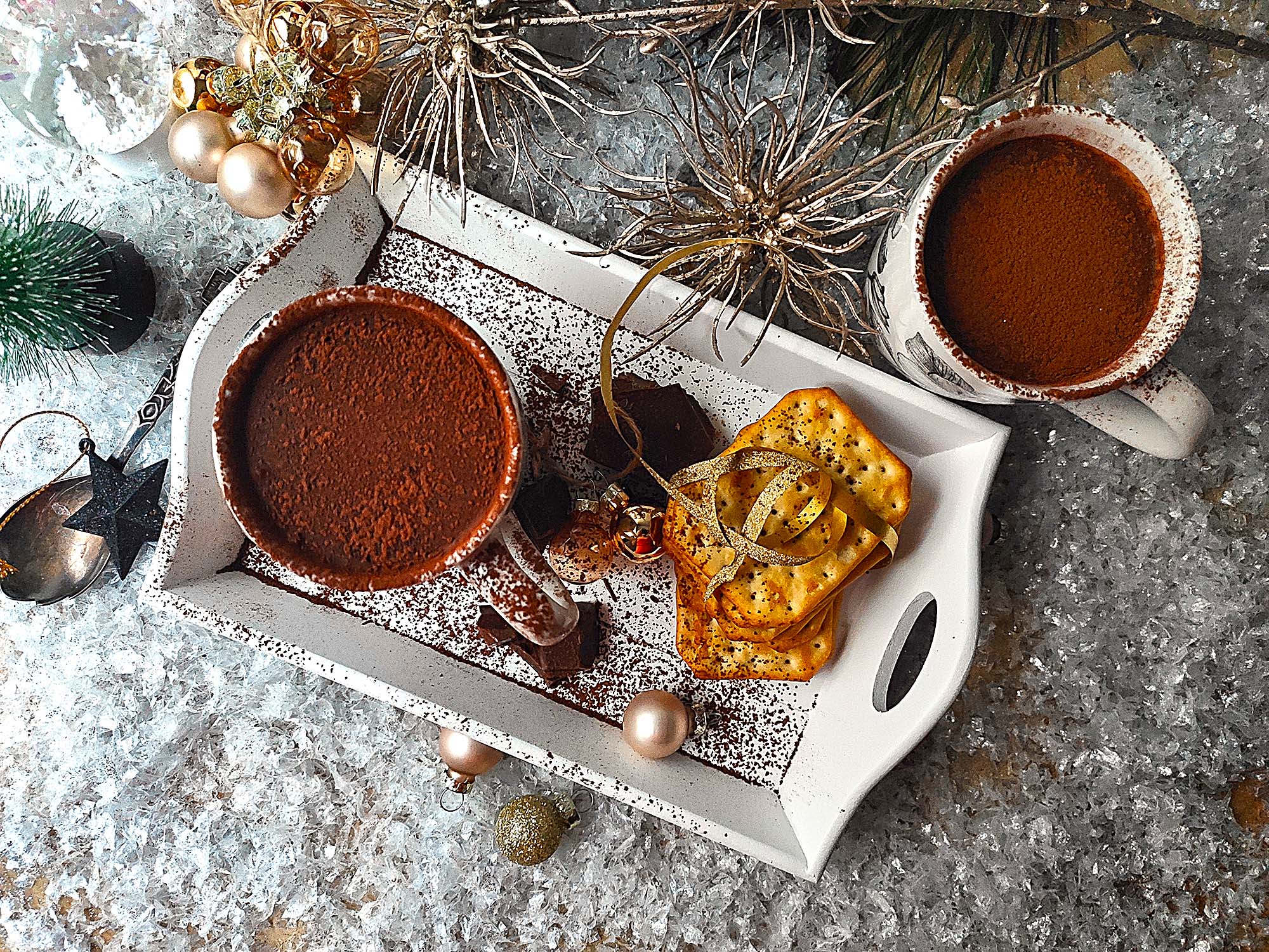 Vegan Spiced Hot Chocolate Milk