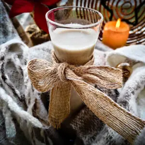 Vegan Boozy Eggnog