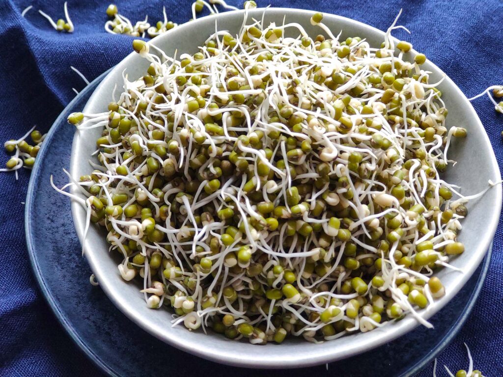 Sprouted Moong Dal Curry